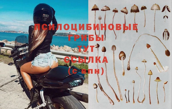 амф Алексин