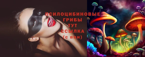 крисы Алексеевка
