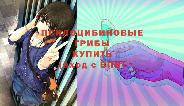 крисы Алексеевка