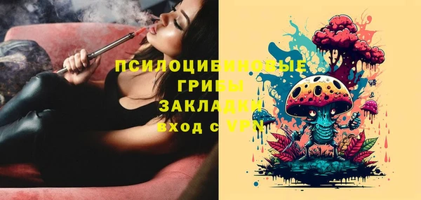 крисы Алексеевка