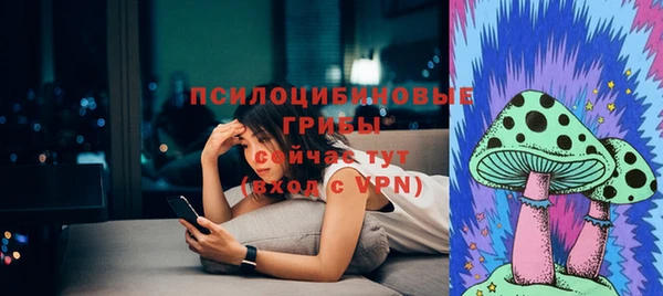 амф Алексин